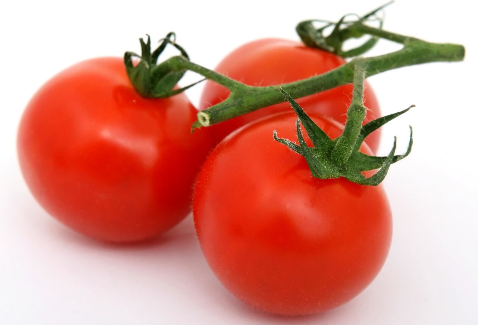 Tomatoes