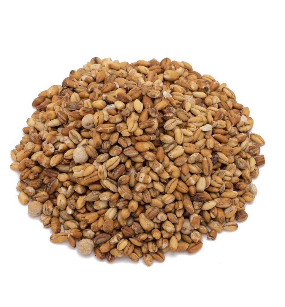 Kolo (with Chickpeas)